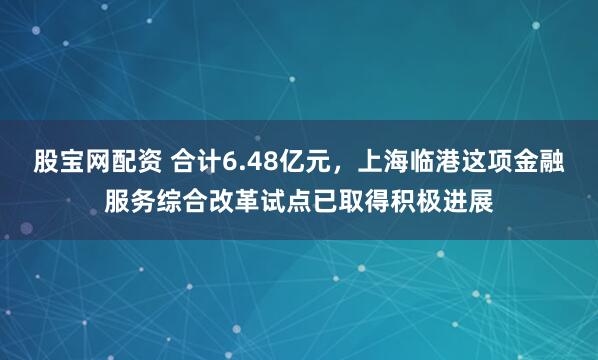 股宝网配资 合计6.48亿元，上海临港这项金融服务综合改革试点已取得积极进展