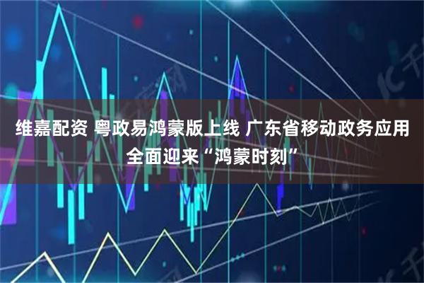 维嘉配资 粤政易鸿蒙版上线 广东省移动政务应用全面迎来“鸿蒙时刻”