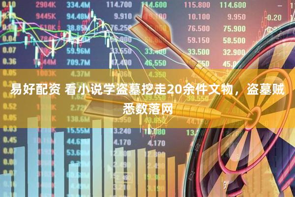 易好配资 看小说学盗墓挖走20余件文物，盗墓贼悉数落网