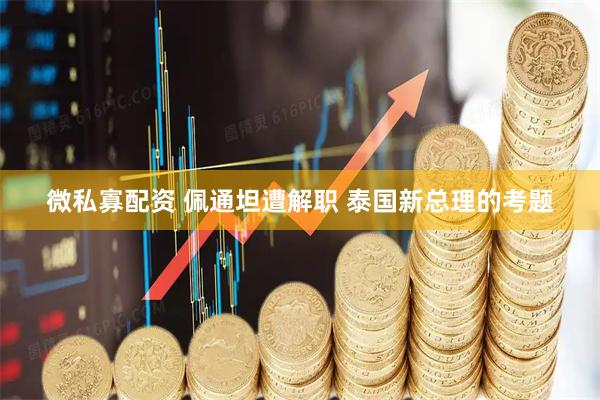 微私寡配资 佩通坦遭解职 泰国新总理的考题