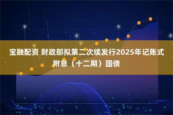 宝融配资 财政部拟第二次续发行2025年记账式附息（十二期）国债