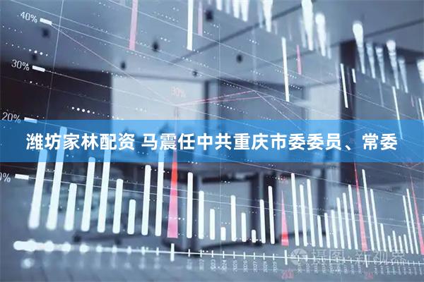潍坊家林配资 马震任中共重庆市委委员、常委
