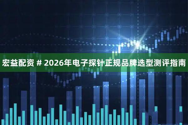 宏益配资 # 2026年电子探针正规品牌选型测评指南